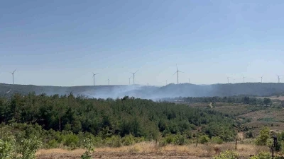 Çanakkale’deki orman yangını kontrol altında
