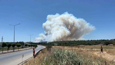 Çanakkale’deki yangında tedbir amaçlı Güzelyalı bölgesindeki vatandaşlar tahliye ediliyor
