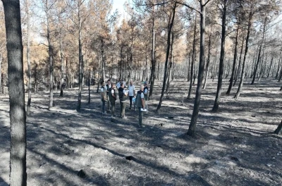 Çanakkale Orman Bölge Müdürü Demirci: &quot;2025 yılında 130 adet orman yangınında 8 bin 196 hektar orman alanımız zarar görmüştür&quot;
