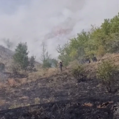 &Ccedil;ankırı&rsquo;da &ccedil;ıkan arazi yangını s&ouml;nd&uuml;r&uuml;ld&uuml;
