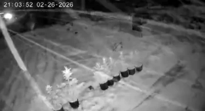 &Ccedil;ankırı&rsquo;da kar yağışı etkili oluyor
