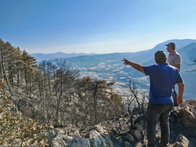 Cankurtaran’da yanan bölgenin ağaçlandırılması için çalışmalara başlandı
