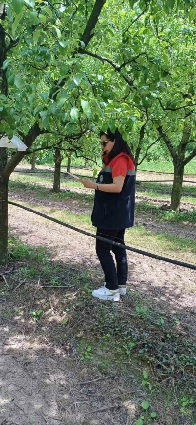 &Ccedil;arşamba&rsquo;da fındık &uuml;reticilerine &rsquo;kokarca&rsquo; ve &rsquo;k&uuml;lleme&rsquo; uyarısı

