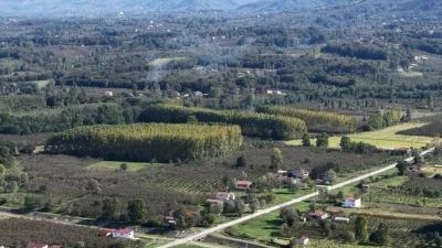 &Ccedil;arşamba Ovası meyvede zirvede
