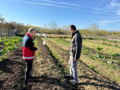Çarşamba Ovası’nın yeni gözdesi: Salep

