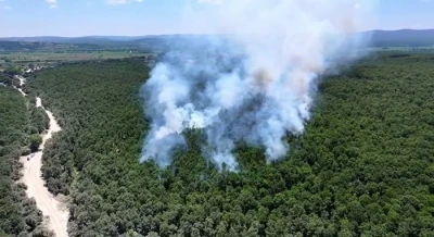 &Ccedil;atalca Ormanlı&rsquo;da orman yangını havadan ve karadan m&uuml;dahaleyle s&ouml;nd&uuml;r&uuml;ld&uuml;
