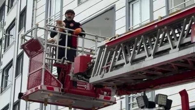 &Ccedil;atıda mahsur kalan kedi kurtarıldı
