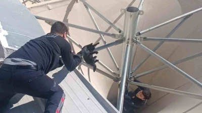 Çatıda mahsur kalan kediyi itfaiye kurtardı
