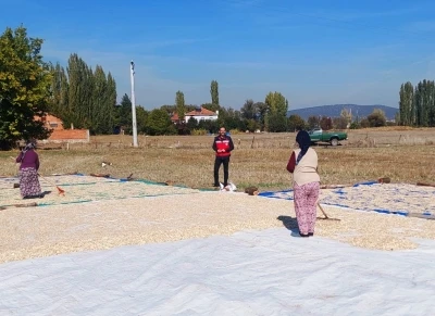 Çavdarhisar Ağarı köyünde çerezlik kabak hasadı başladı
