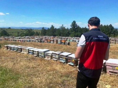 &Ccedil;avdarhisar&rsquo;da arılı kovan sayımı ger&ccedil;ekleştirildi
