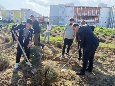 &Ccedil;avdarhisar&rsquo;da &ouml;ğrenciler okulun tarım alanına lavanta fidanı dikti
