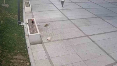 Çekirdek keyfi pahalıya patladı
