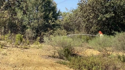 Çekmeköy’de ormanlık alanda çıkan yangın söndürüldü
