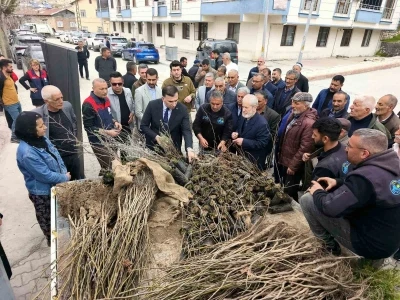 &Ccedil;emişgezek&rsquo;te vatandaşlara &uuml;cretsiz fidan dağıtıldı
