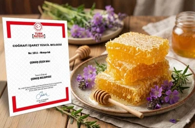 &Ccedil;erkeş &ccedil;i&ccedil;ek balı coğrafi işaret tescili aldı

