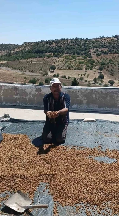 &Ccedil;ermik&rsquo;te dutlar pazardaki yerini aldı

