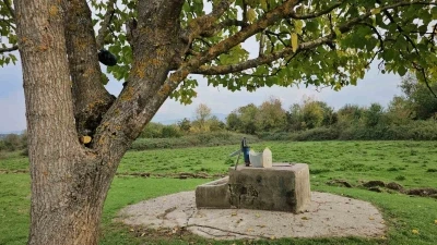Cesedi su kuyusunda bulunan 17 yaşındaki Hasret&rsquo;in katil zanlısına m&uuml;ebbet hapis cezası talebi
