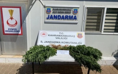Çeşitli suçlardan yakalanan 14 şüpheli tutuklandı
