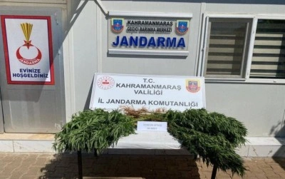 Çeşitli suçlardan yakalanan 14 şüpheli tutuklandı