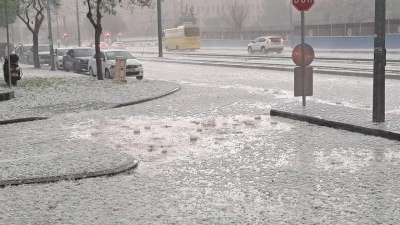 Ceviz b&uuml;y&uuml;kl&uuml;ğ&uuml;nde dolu! Dakikalar i&ccedil;inde hayat durdu