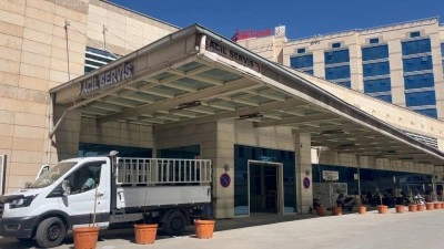 Ceviz toplarken ağaçtan düşüp öldü