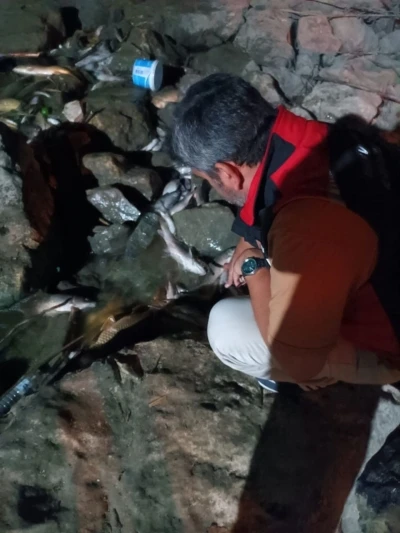 Ceyhan Nehri’ndeki kirlilikle ilgili numune alındı
