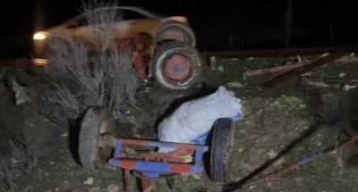 Ceylanpınar&rsquo;da otomobil, at arabasına &ccedil;arptı: 2 yaralı
