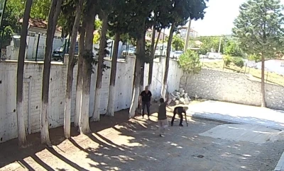 CHP’li Belediye Başkanı taş döşemek istemeyen zabıtaları sopayla dövdü
