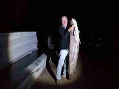 Çiçeközü Barajı’nda dev yayın balığı
