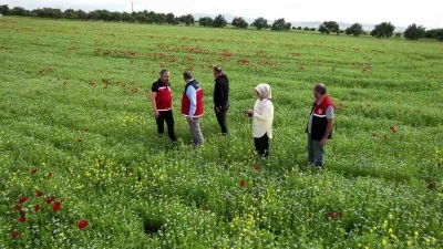 &Ccedil;ift&ccedil;iler, kuraklık ve zirai dona dayanıklı &uuml;r&uuml;nlere y&ouml;neldi
