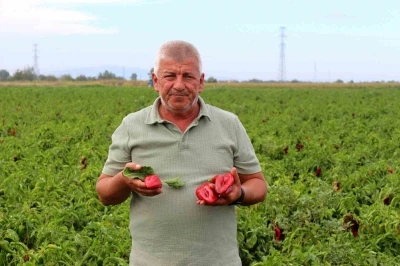 &Ccedil;ift&ccedil;ilerden &ccedil;ağrı: "&Uuml;retim maliyetleri baskılanamaz hale geldi"
