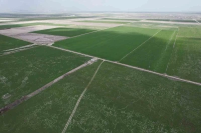 &Ccedil;ift&ccedil;ilere hububata hastalık gelmeden erken m&uuml;dahale uyarısı
