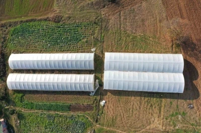 Çiftçilere yüzde 50 hibeli modern sera
