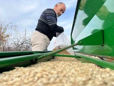 Çiftçilerin ekim mesaisi başladı, 12 bin yıllık siyez toprakla buluştu
