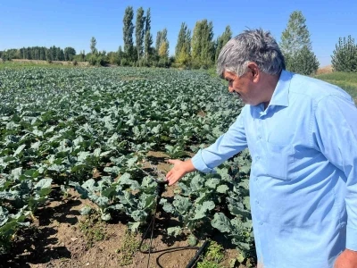 Çiftçilerin kullandığı kuyu suları 2 metreye kadar indi
