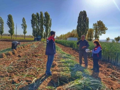 Çiftçilerle ürün verimliliği görüşüldü

