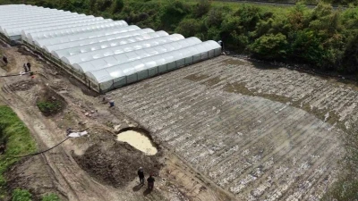 &Ccedil;ift&ccedil;inin taşkın n&ouml;beti: Arazisindeki bitkiler Yeşilırmak&rsquo;tan sızan suyun altında kaldı
