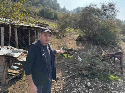 CİMER’e yapılan ’İnek ve tavuklar serbest dolaşıyor, salgın hastalık riski var’ şikayeti bölge sakinlerini şaşkına uğrattı
