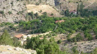 Cinayete kurban giden Aysel Yıldırım i&ccedil;in 1600 rakımlı dağlık alanda arama
