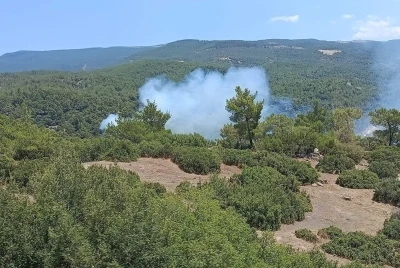 &Ccedil;ine&rsquo;de orman yangını
