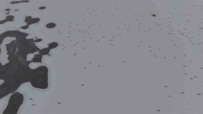 Cip Baraj G&ouml;l&uuml; buz tuttu
