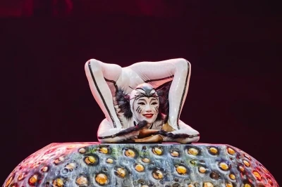 Cirque du Soleil&rsquo;in b&ouml;ceklerin d&uuml;nyasını anlatan dev yapımı İstanbul&rsquo;da sahne alacak
