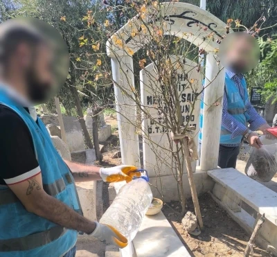 Cizre’de denetimli serbestlik yükümlüleri şehit kabirlerini temizledi
