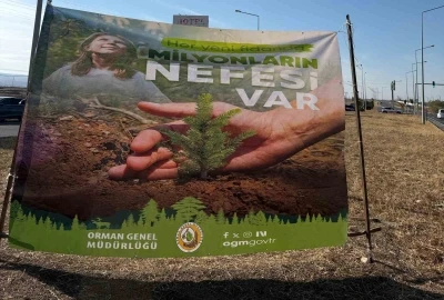 Cizre’de havalimanı yolu 450 fidan ile yeşilleniyor
