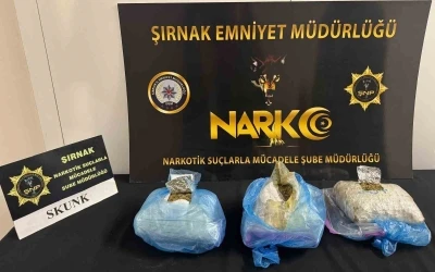 Cizre&rsquo;de uyuşturucu tacirlerinin "&ouml;nc&uuml;-art&ccedil;ı taktiği" s&ouml;kmedi
