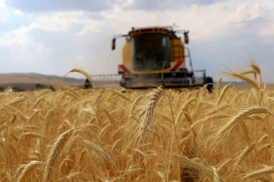 ÇKS başvuruları 1 Eylül’de başlıyor
