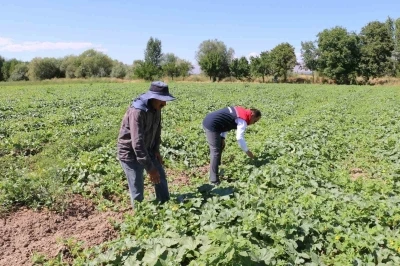 ÇKS başvuruları 31 Aralık’ta sona eriyor
