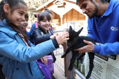 &Ccedil;ocuklar hayvanları ve yaban hayatını tanıma fırsatı buldu
