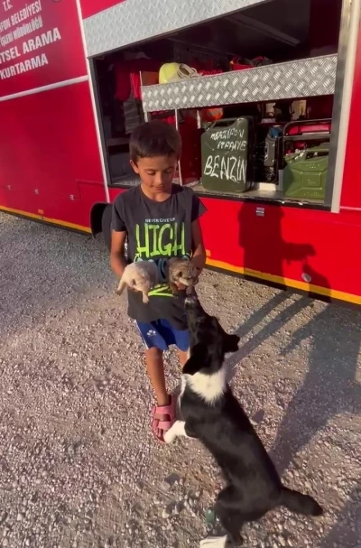 Çocuklar ihbar etti, atık su borusuna sıkışan yavru köpekler kurtarıldı

