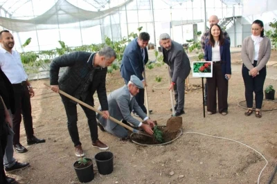 Çocuklara hem teorik hem uygulamalı eğitim
